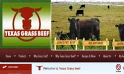 Beef Webstore
